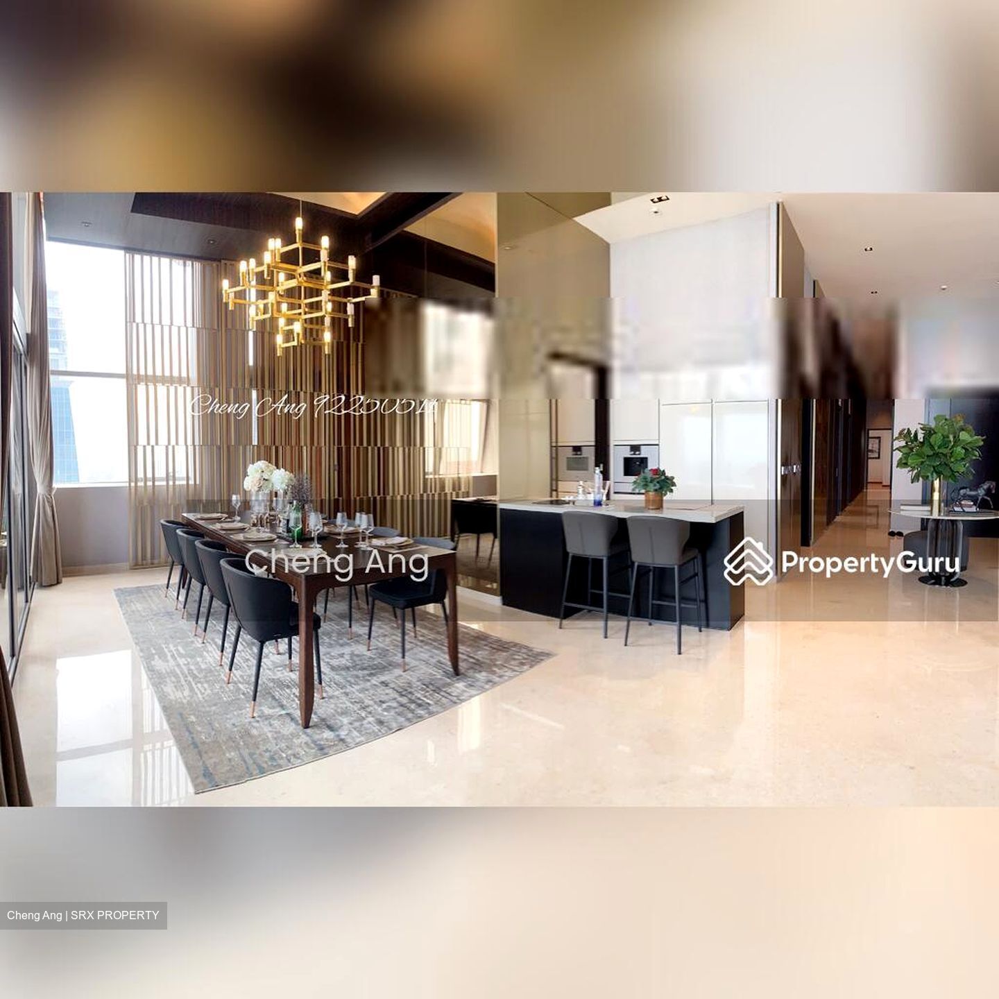 V On Shenton (D1), Apartment #402350811